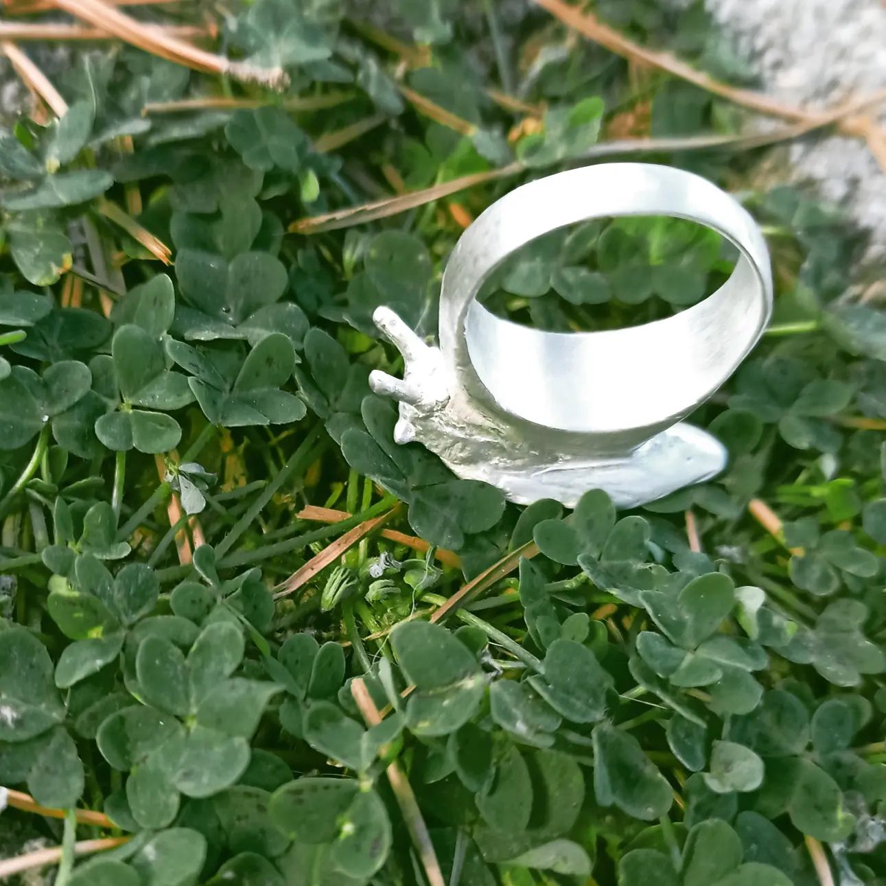 δακτυλίδι "σαλιγκάρι"